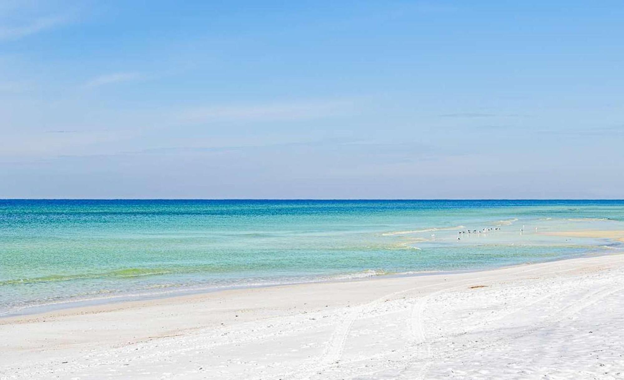 A Wave We Go Panama City Beach